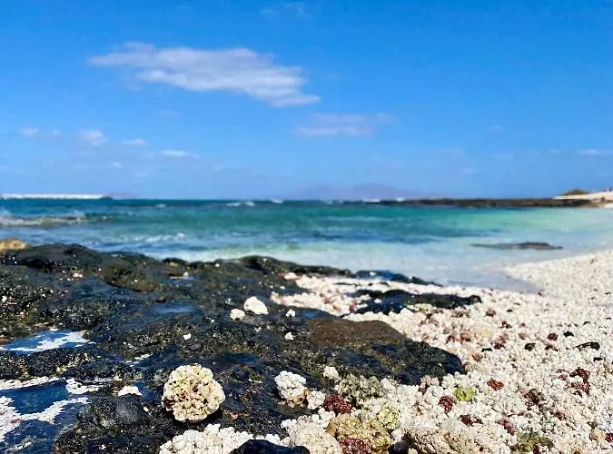 San Valentin, Apartmán